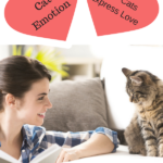 Cat Emotions: How Cats Express Love and Affection for Us