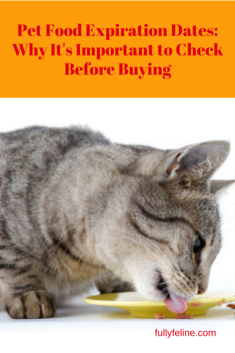 Do You Check Pet Food Expiration Date?