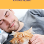 Pet Ownership Costs: Are Your Prepared?