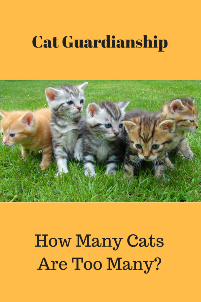 how many cats are too many