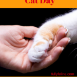 Respect Your Cat Day: 5 Ways To Show Your Cat You Love, and Respect, Him