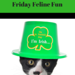 Cats, Hats, and St. Pat’s:  St. Patrick’s Day Cats Friday Fun