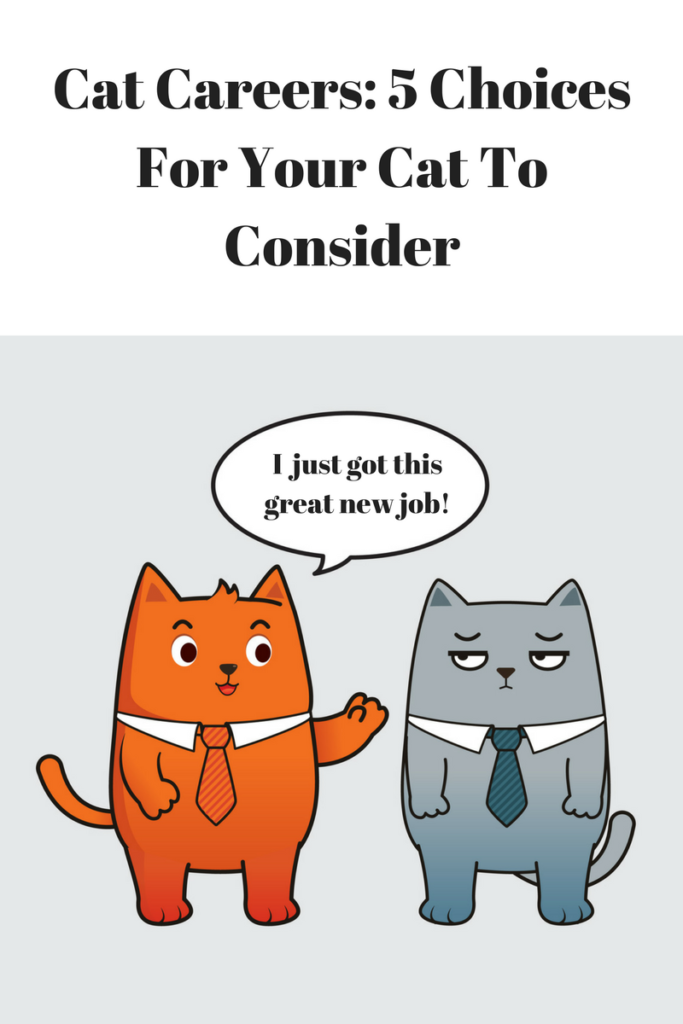 Cat careers