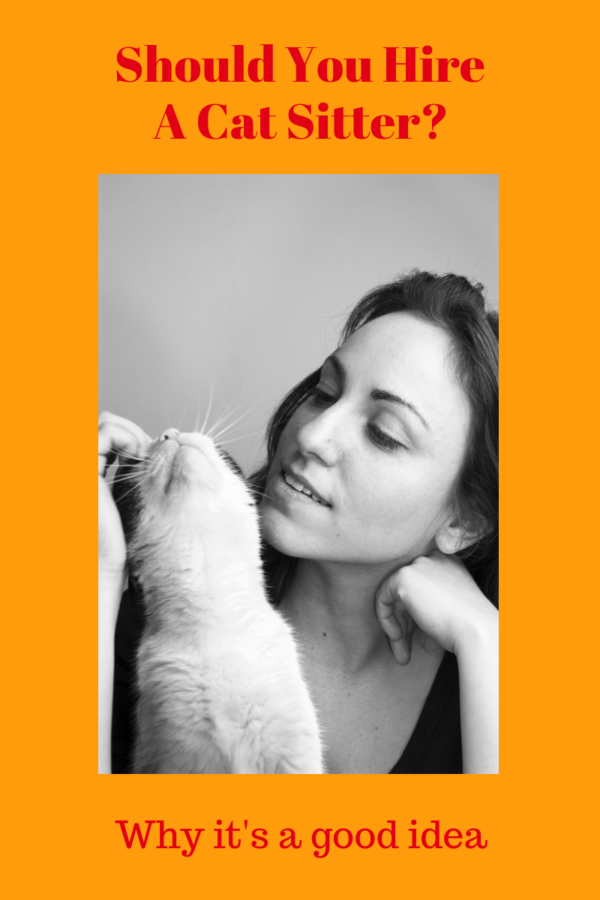 cat sitter cost