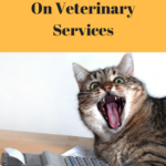 6 Moneysaving Tips For Veterinary Care