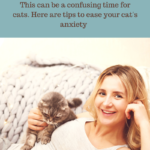 Prepare Your Cat For Baby’s Arrival: 5 Tips To Ease Cat Anxiety