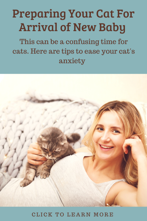 Prepare Your Cat For Baby's Arrival 5 Tips to Ease Cat Anxiety