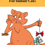 Boredom Busters for Indoor Cats