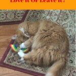 Catnip: Does Your Cat Love It Or Leave It?