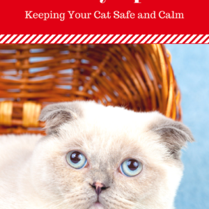 July 4th Cat Safety Tips: Keeping Cats Safe and Calm