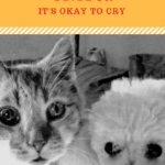 Grieving Loss of a Pet: It’s Okay to Cry