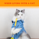 Easy Housekeeping Tips for Cat Owners