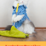 Easy Housekeeping Tips for Cat Owners