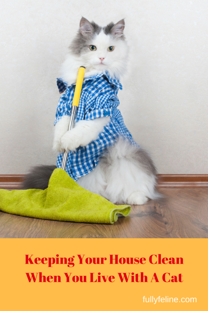 Easy Housekeeping Tips for Cat Owners Fully Feline