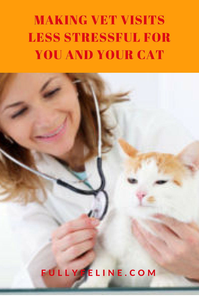 Make Vet Visits Less Stressful For Your Cat