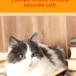 Books For Cat Lovers: 5 Recommendations To Add To Your Reading List