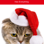 Cat Humor:  Gift Giving Tips For Cats