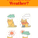 Cats and Weather: Are They More Reliable than Doppler Radar?