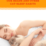 Cats and Sleep: Why They Prefer Sleeping With Their People