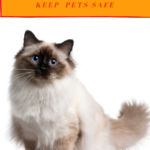 Pet Safe Pest Control: Get Rid of Pests Without Harming Pets