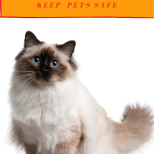 Pet Safe Pest Control: Get Rid of Pests Without Harming Pets