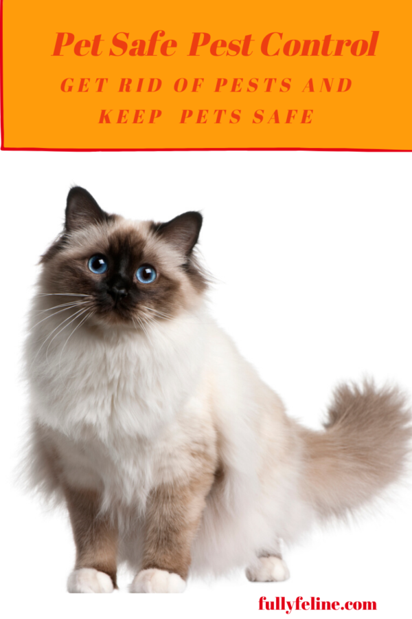 Pet Safe Pest Control