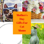 Mother’s Day Gifts: 7 Last Minute Ideas For Cat Moms