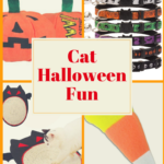 Cat Halloween Fun: Gifts To Treat Your Feline Friend & Yourself