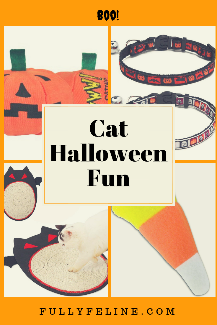 Cat Halloween Fun: Gifts To Treat Your Feline Friend