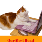 2018 Most Read Posts on Our Site