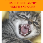Cat Dental Issues: The Case for Healthy Teeth and Gums