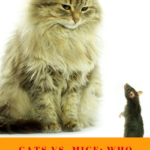 Cats and Mice: Who Will Win? (Not Always Who You Think!)