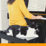 Music and Cats: Try It to Calm Anxious Cat