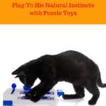 Food Puzzles For Your Cat: Change Mealtime Presentation