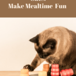 Food Puzzles For Cats: Make Mealtime Fun