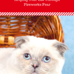 Fourth of July Cat Safety: Help Cats Through Fireworks Fear