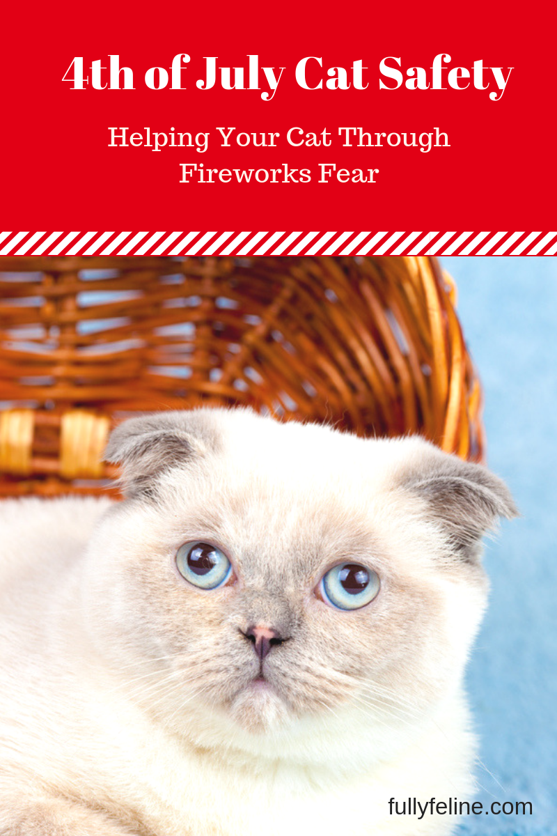 fourth of july cat safety