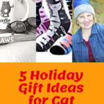 Holiday Gift Ideas for Cat Lovers: Suggestions Sure to Please