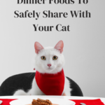 Thanksgiving Foods Safe For Cats: What’s Ok To Share?