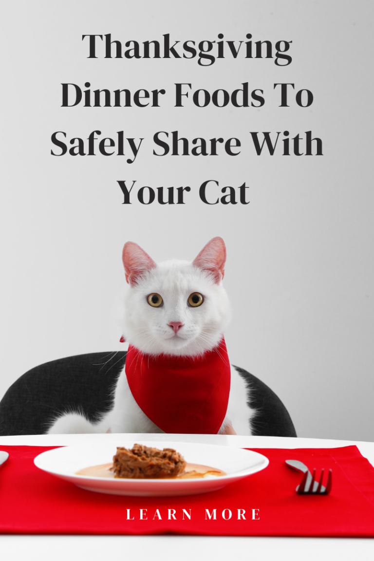 Thanksgiving Foods Safe For Cats What’s Ok To Share? Fully Feline