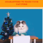 5 Holiday Gift Ideas for Cats: These Will Make Your Cat Purr!