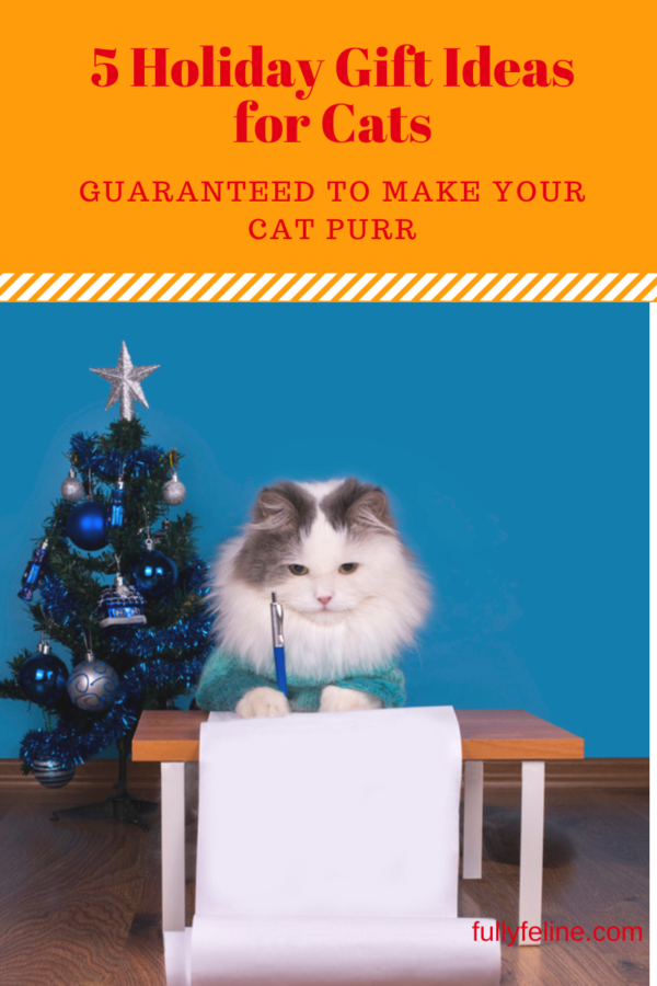 holiday gift ideas for cats