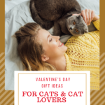 Valentine’s Day Gifts for Cats and Their People
