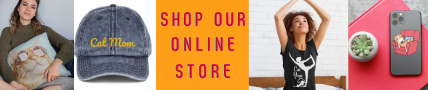 shop online store 