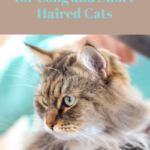Grooming Tools for Short & Long Haired Cats